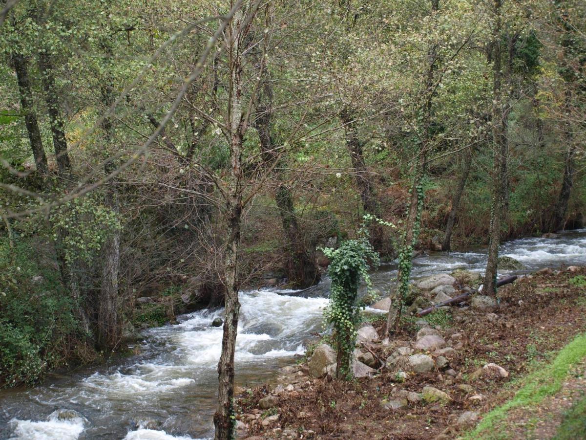 Camping La Eliza Hotel Lanzahita Kültér fotó
